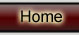 Home Button